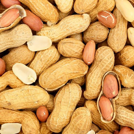 A Dive into the Nutty World of Health Benefits!